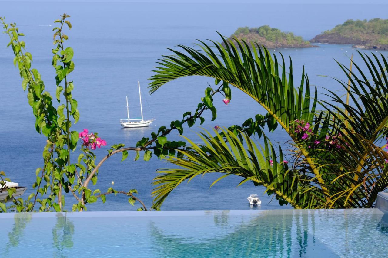 Sunset Palm - Superbe Villa Créole avec piscine face au coucher de soleil Bouillante Exterior foto
